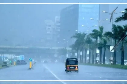 rain
