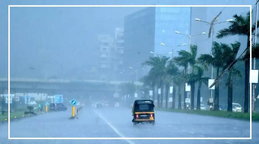 rain